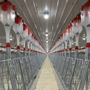 نظام التغذية الأوتوماتيكي بسلسلة أقراص الخنازير